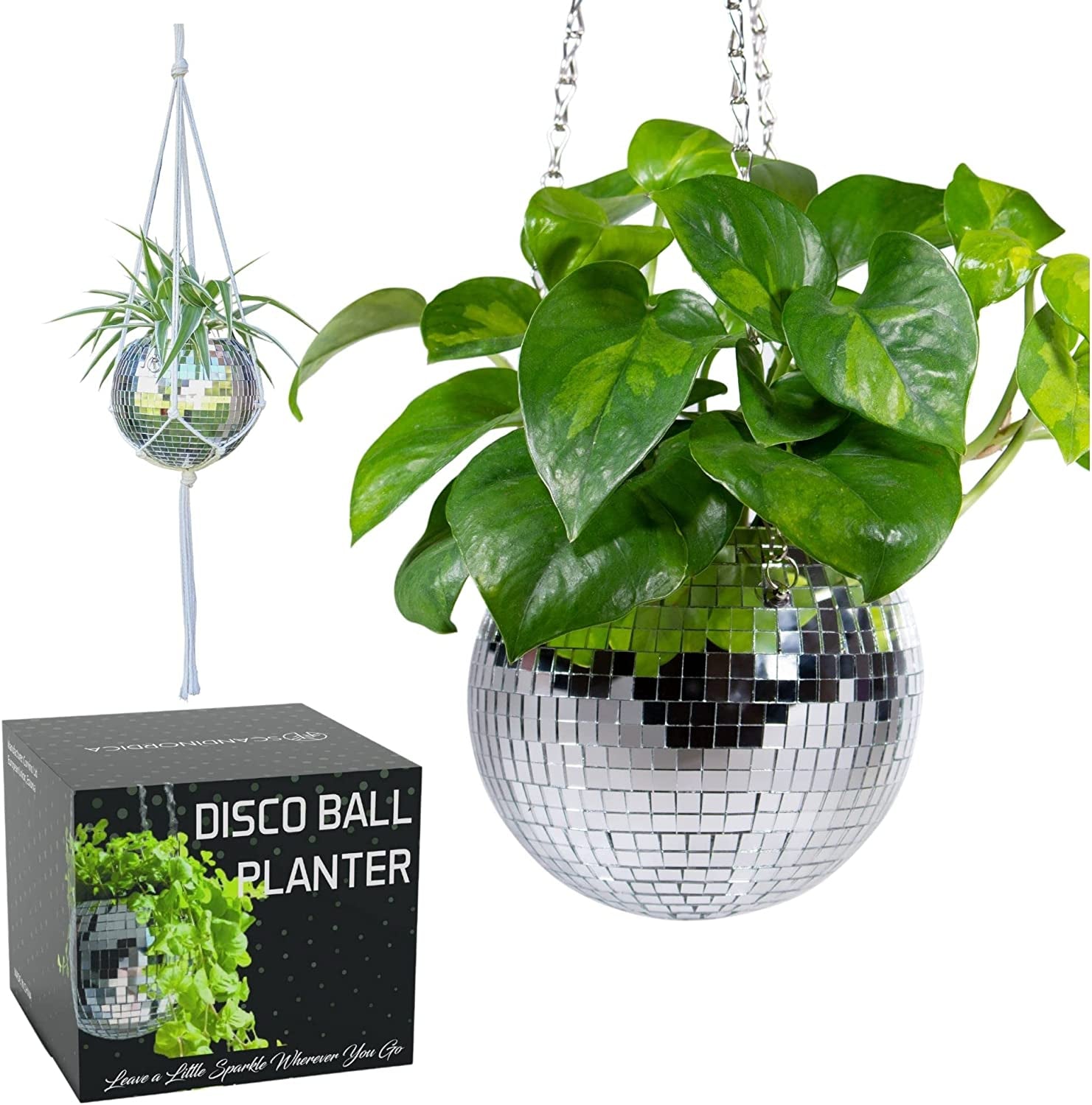 Disco Ball Planter – Value Package: Disco Planter with Chain, Macrame Hanger and Acrylic Stand for Desk, Self Watering Insert, Disco Ball Plant Hanger | 6 Inch Silver