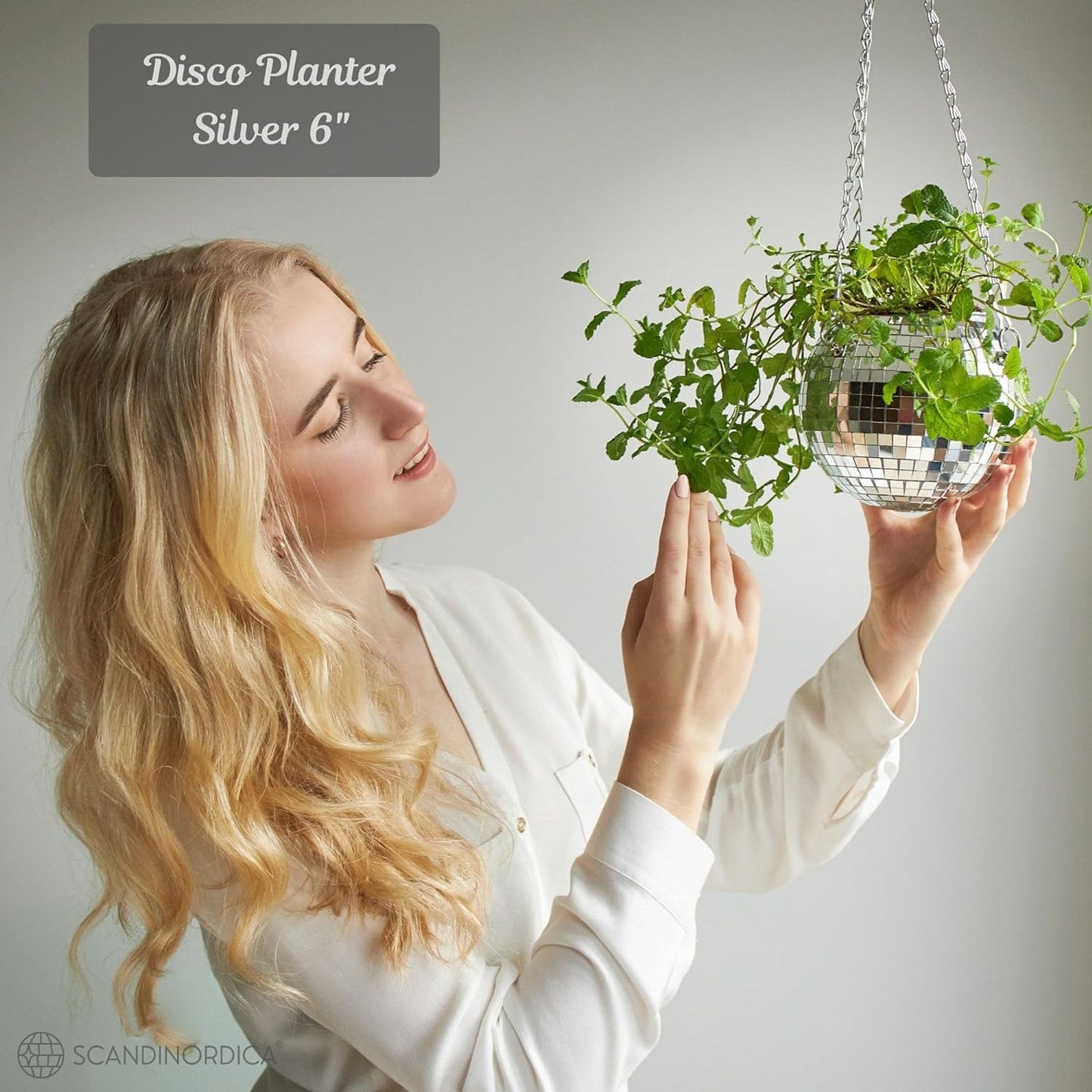 Disco Ball Planter – Value Package: Disco Planter with Chain, Macrame Hanger and Acrylic Stand for Desk, Self Watering Insert, Disco Ball Plant Hanger | 6 Inch Silver